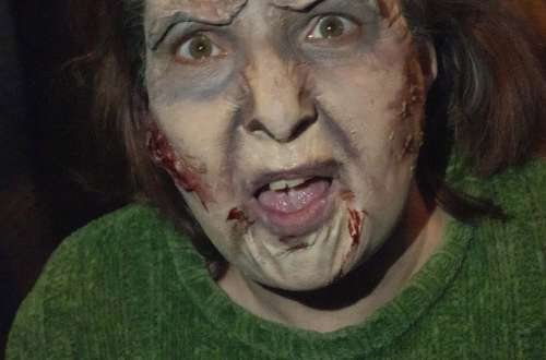 ARTIST MAKEUP - PHOTO MODELE EFFETS SPÉCIAUX FX - MAQUILLAGE ZOMBIE.png